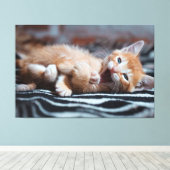 Adorable Happy Kitten Canvas Print Picture 6 Leinwanddruck (Insitu (Holzboden))