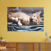 Adorable Happy Kitten Canvas Print Picture 6 Leinwanddruck (Insitu (Wohnzimmer))