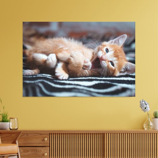 Adorable Happy Kitten Canvas Print Picture 6 Leinwanddruck (Insitu (Wohnzimmer))