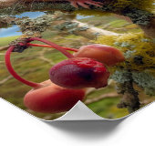 Adorable Hazel Dormouse in a Woodland Tree Poster (Ecke)