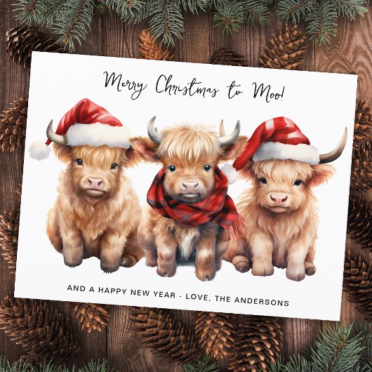 Adorable Highland Kuh Calf Frohe Weihnachten an MO