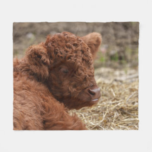 Adorable Hochlandkuhkalb in Hay Fleecedecke