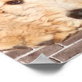 Adorable Hund Foto Poster (Ecke)