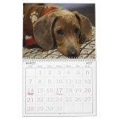 Adorable Hunde Kalender (Mär 2027)