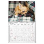 Adorable Hunde Kalender (Jan 2027)
