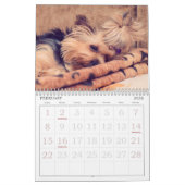 Adorable Hunde Kalender (Feb 2026)