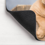 Adorable Hunde Liebe Foto Mousepad (Ecke)