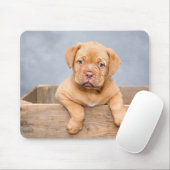 Adorable Hunde Liebe Foto Mousepad (Mit Mouse)