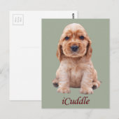 Adorable iCuddle Cocker Spaniel Postkarte (Vorne/Hinten)