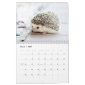 Adorable Igel 2026 Kalender (Mär 2027)
