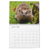 Adorable Igel 2026 Kalender (Jan 2027)