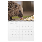 Adorable Igel 2026 Kalender (Feb 2027)