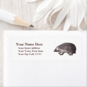 Adorable Igel Antiquitätenstich (Insitu)