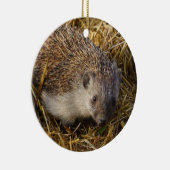 Adorable Igel in einem stabilen Feld Keramik Ornament (Rechts)