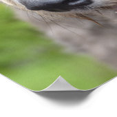 Adorable Irish Wolfhound Poster (Ecke)