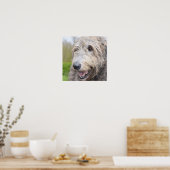 Adorable Irish Wolfhound Poster (Küche)