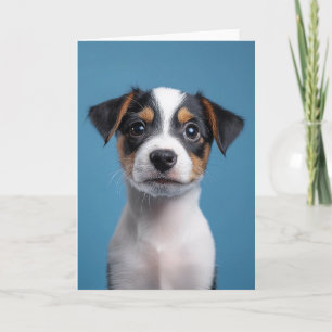 Adorable Jack Russell Terrier Puppy Portrait Einladung