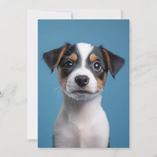 Adorable Jack Russell Terrier Puppy Portrait Einladung