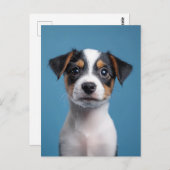 Adorable Jack Russell Terrier Puppy Portrait Postkarte (Vorne/Hinten)