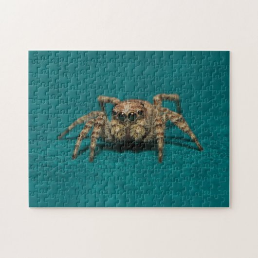 Adorable Jumping Spider Animal Fotografy Puzzle (Horizontal)