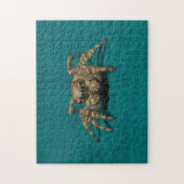Adorable Jumping Spider Animal Fotografy Puzzle (Vertikal)