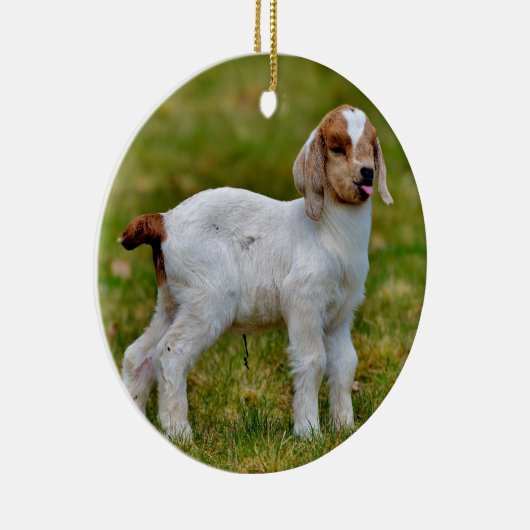 Adorable junge Boerziege Keramik Ornament (Rechts)