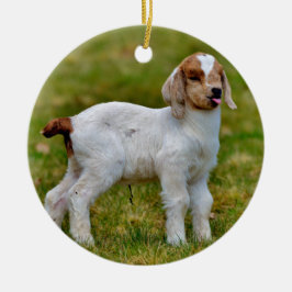 Adorable junge Boerziege Keramik Ornament