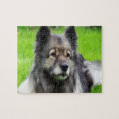 Adorable Keeshond Puzzle (Horizontal)