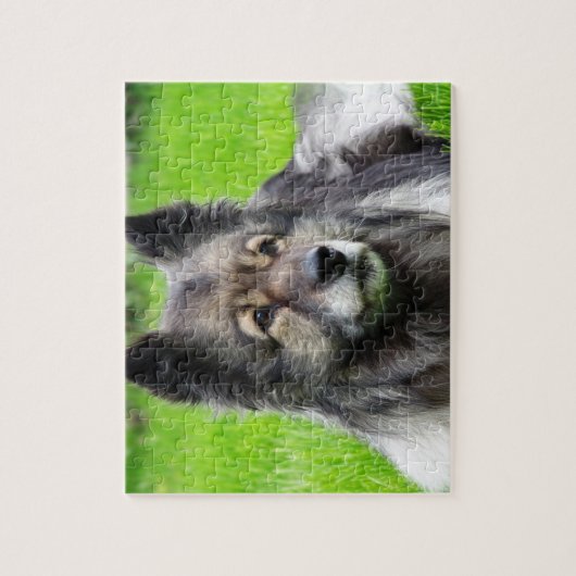 Adorable Keeshond Puzzle (Vertikal)