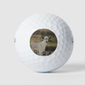 Adorable Kid Goat Golfball (Vorderseite)