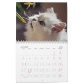 Adorable Kitten Calendar Kalender (Jan 2027)