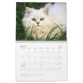 Adorable Kitten Calendar Kalender (Mär 2027)