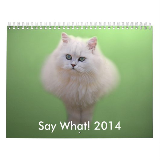 Adorable Kitten Calendar Kalender (Titelbild)