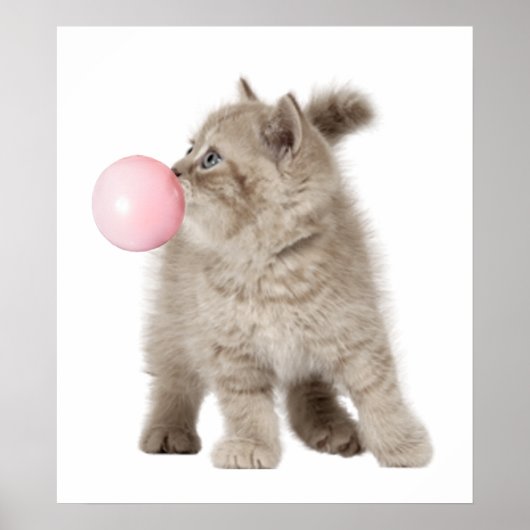 Adorable Kitten Cat Bubble Gum Kinderzimmer Child Poster (Vorne)