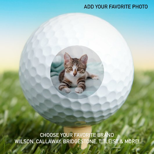 Adorable Kitten Cat Lover Custom Foto Golfball
