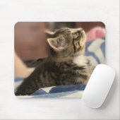 Adorable Kitten Foto oder laden Sie Ihr eigenes Bi Mousepad (Mit Mouse)