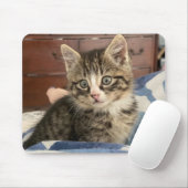 Adorable Kitten Foto oder laden Sie Ihre eigenen h Mousepad (Mit Mouse)