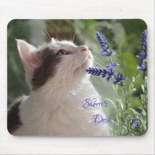 Adorable Kitten im Garten *personalisieren* Mousepad