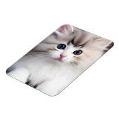 Adorable Kitten Magnet (Linke Seite)