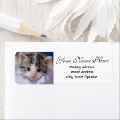 Adorable Kitten Rücksendeadresse (Insitu)