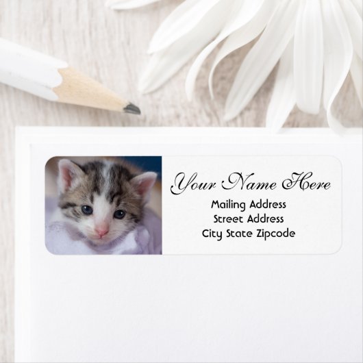 Adorable Kitten Rücksendeadresse (Insitu)