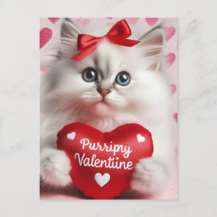 Adorable Kitten Valentine Postkarte