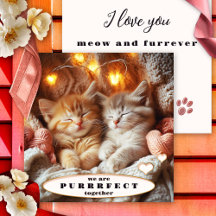 Adorable Kittens Happy Valentines Day Card