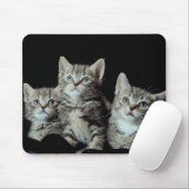 Adorable Kittens Mousepad (Mit Mouse)