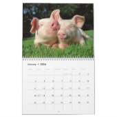 Adorable kleine Ferkel in einem Schwarz-Hat-Kalend Kalender (Jan 2026)