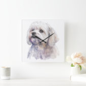 ADORABLE KLEINE WEISSE MALTESISCHE PUPPY HUND QUADRATISCHE WANDUHR (Zuhause)