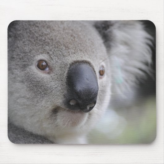 Adorable Koala Bear Mousepad (Vorne)