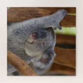 Adorable Koala Bear Puzzle (Horizontal)