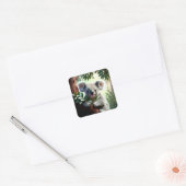 Adorable Koala Bear Quadratischer Aufkleber (Umschlag)