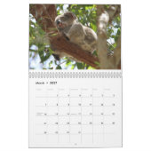 Adorable Koala Bears - Kalender 2016 (Mär 2027)